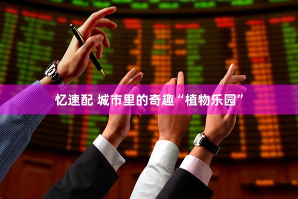 忆速配 城市里的奇趣“植物乐园”